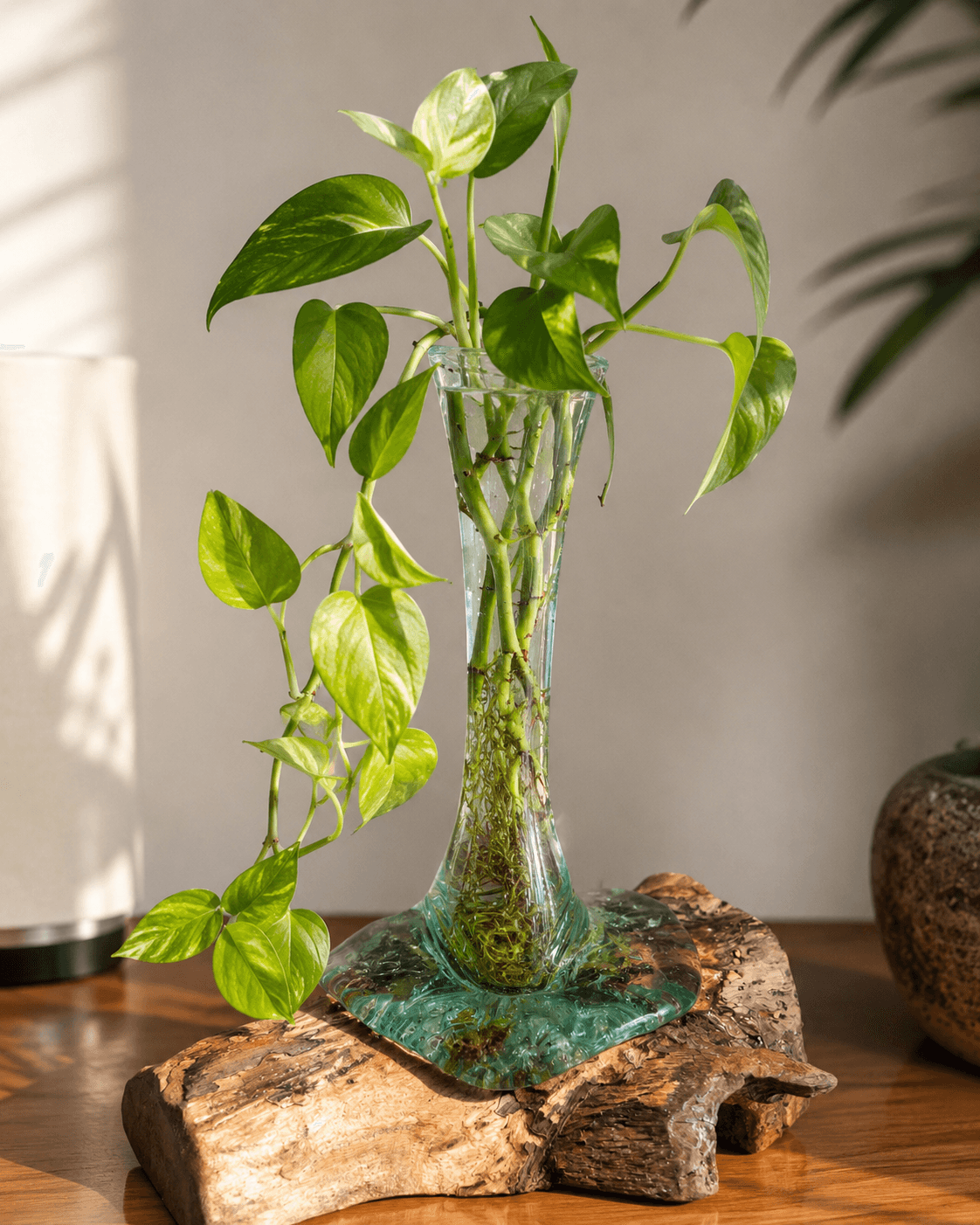 Slender Trumpet Molten Glass on Driftwood Slab Vase