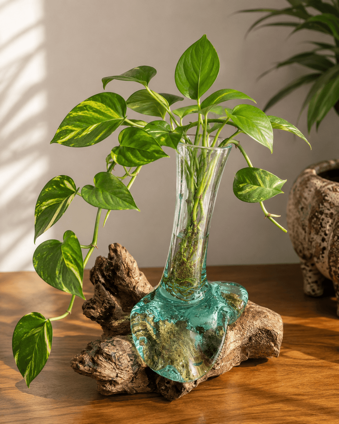 Hand-Blown Molten Glass on Natural Driftwood Vase