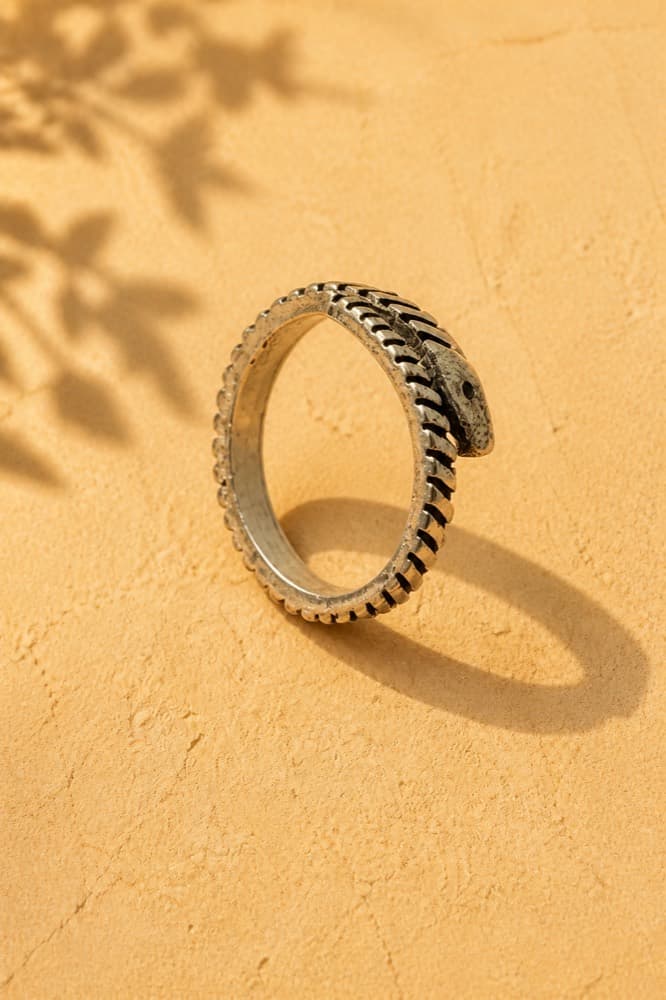 Coiled Snake Ring (brushed finish)